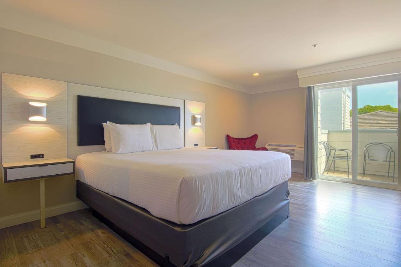 Art Hotel לגונה ביץ' מראה חיצוני תמונה