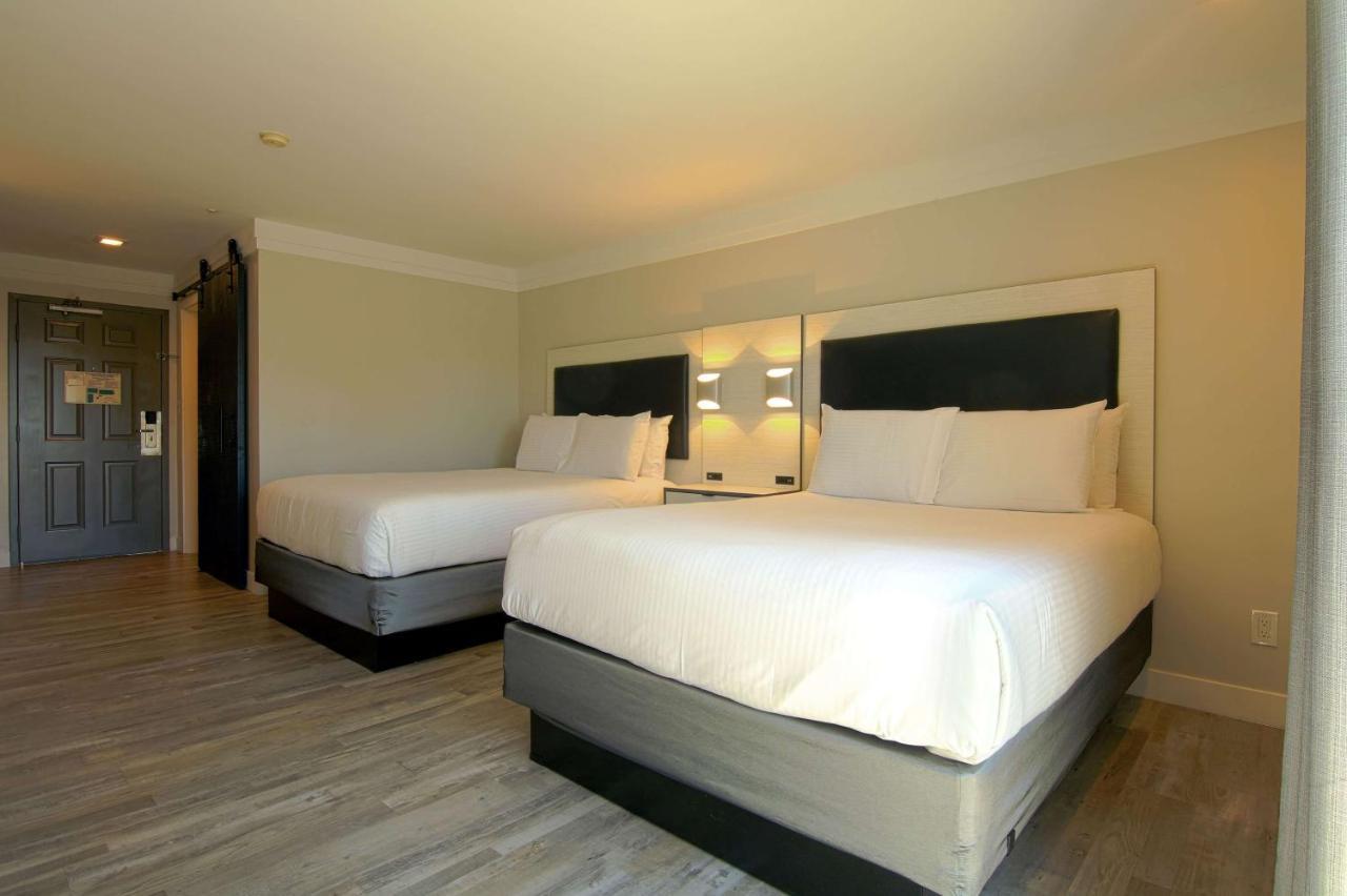 Art Hotel לגונה ביץ' מראה חיצוני תמונה