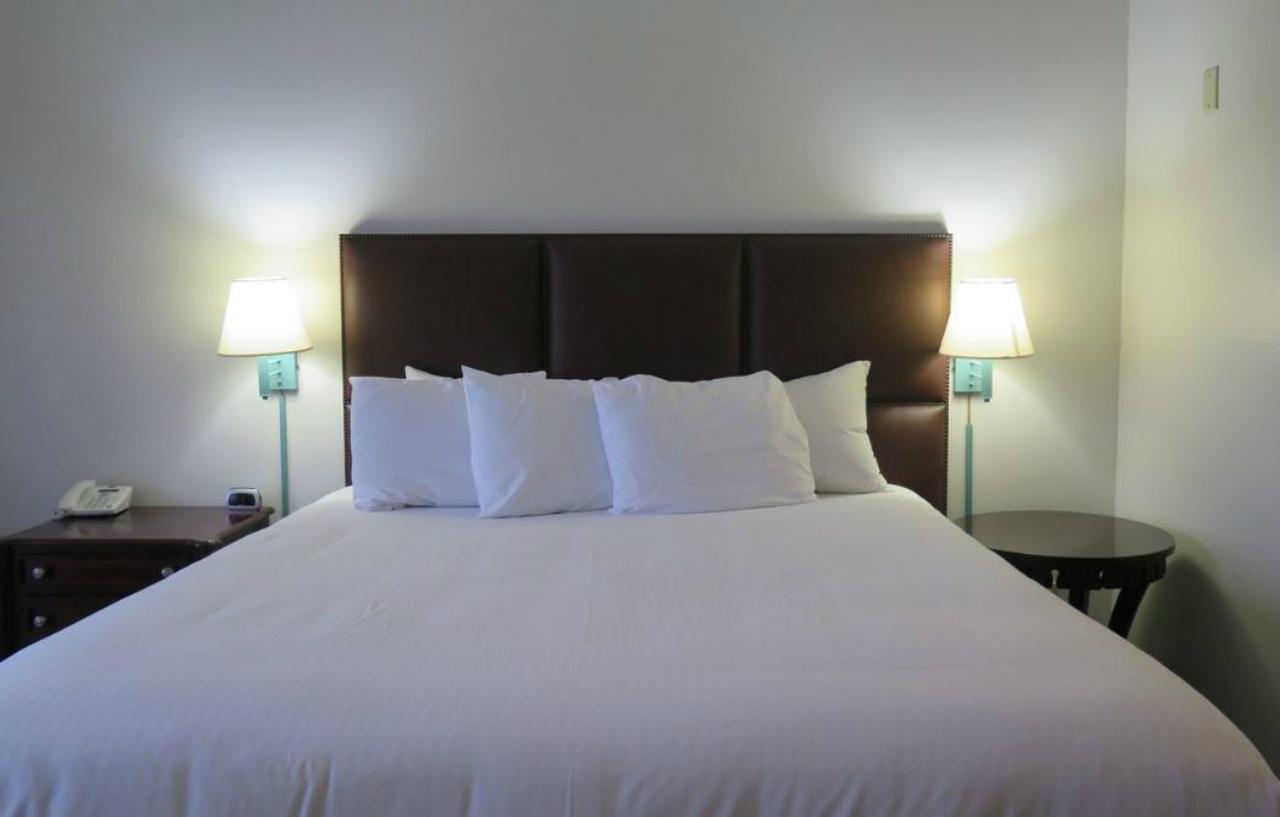 Art Hotel לגונה ביץ' מראה חיצוני תמונה